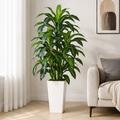 Artificial Dracaena Floor Plant 150cm with White Planter – Green