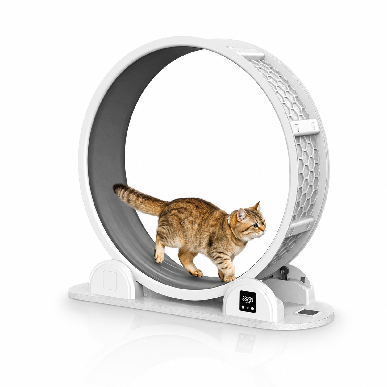 XL Cat Exercise Wheel Indoor Running Treadmill with Digital Display – 108.5cm