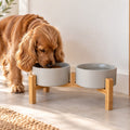 Raised Double Dog Cat Food & Water Bowls with Wooden Stand – 34cm Pet Feeder